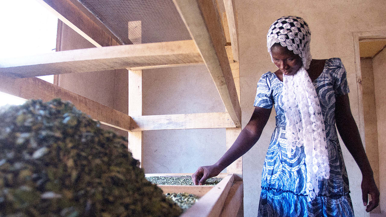 Meet the New Kale: Moringa foto Meet the New Kale: Moringa pics