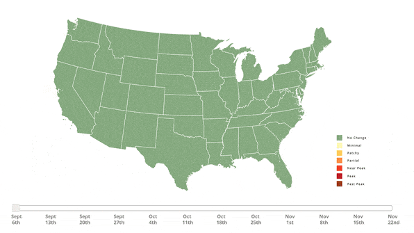 Watch This Fall Foliage Map Predicts When the Leaves Will Change Near You video Watch This Fall Foliage Map Predicts When the Leaves Will Change Near You video