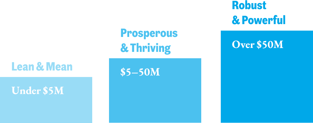 Lean & Mean: Under $5M | Prosperous & Thriving: $5–50M | Robust & Powerful: Over $50M