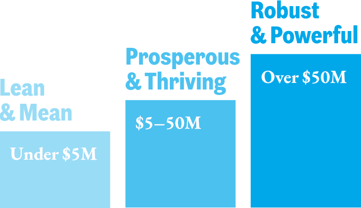 Lean & Mean: Under $5M | Prosperous & Thriving: $5–50M | Robust & Powerful: Over $50M