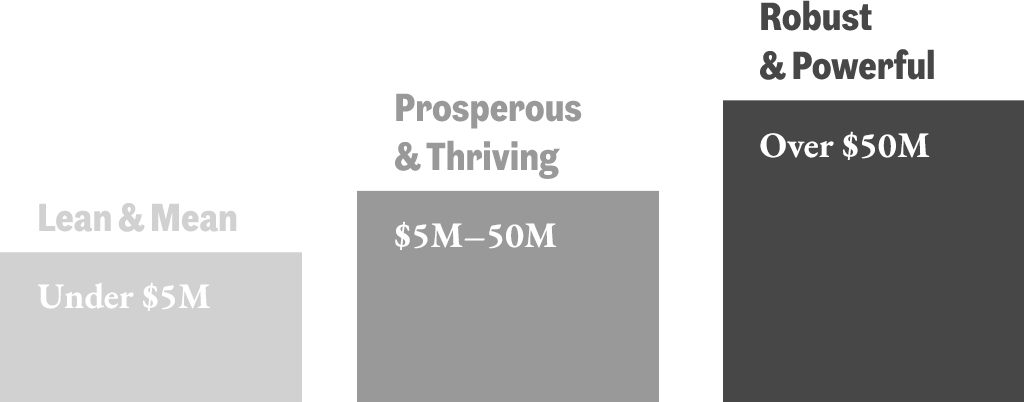 Lean & Mean: Under $5M | Prosperous & Thriving: $5–50M | Robust & Powerful: Over $50M