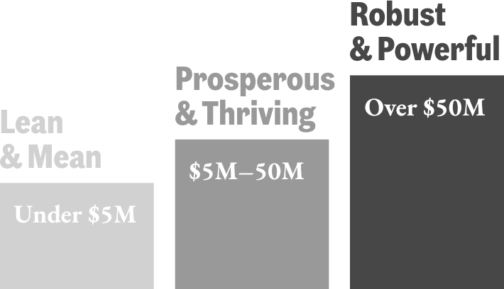 Lean & Mean: Under $5M | Prosperous & Thriving: $5–50M | Robust & Powerful: Over $50M