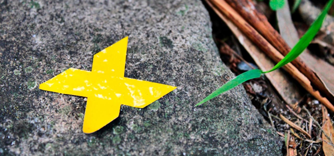 How To Set Wildly Important Goals And What They ll Do Fast Company