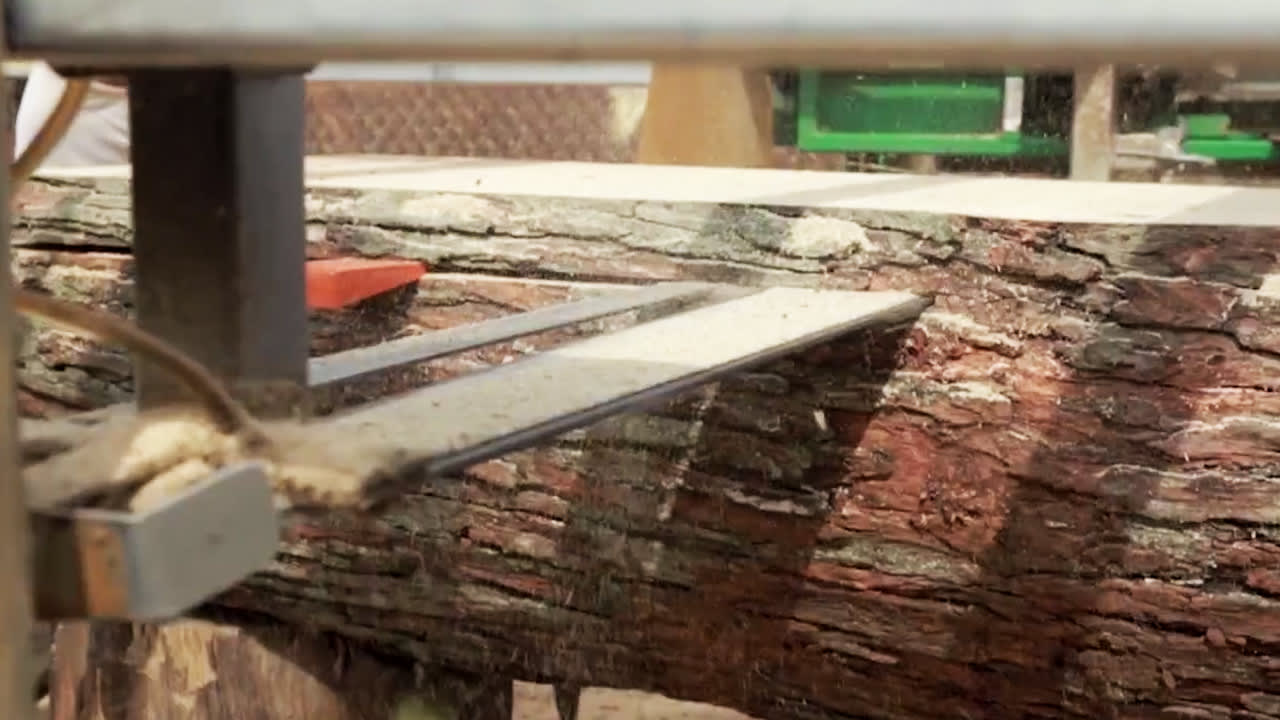 Take A Trip To New York City’s Working Sawmill