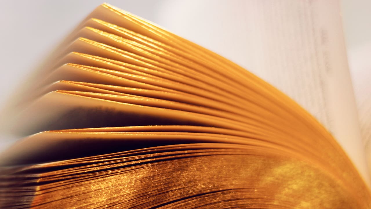 Infographic See Just How Popular The Most Popular Books Ever Written