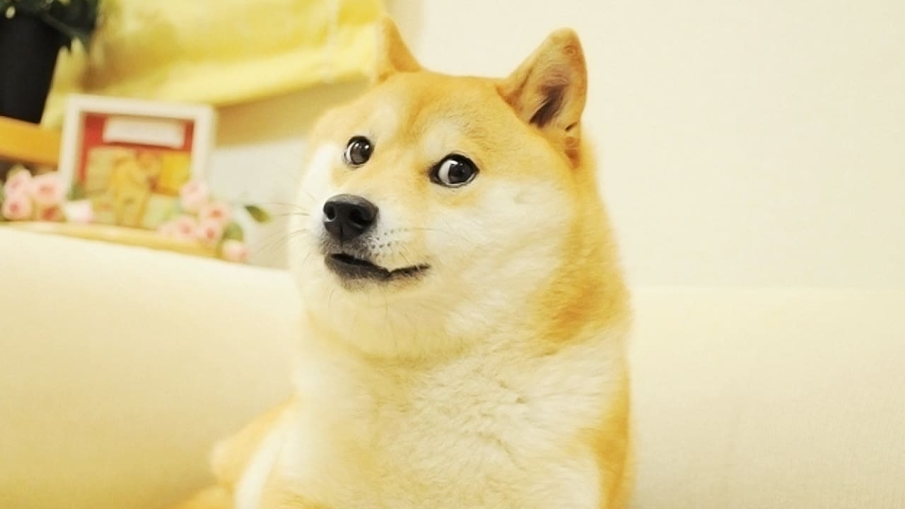 Why Is Dogecoin DOGE Mining Necessary - pubpriorityk4z