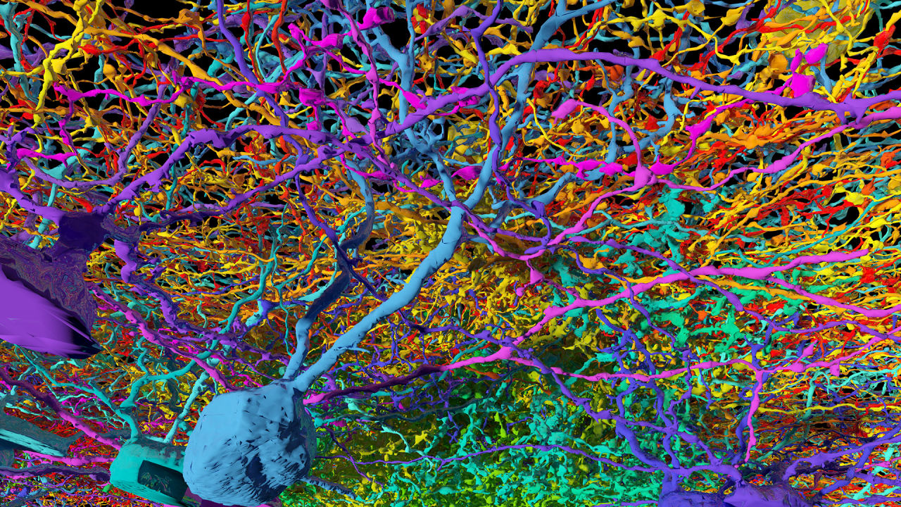 Welcome To Brain Science’s Next Frontier: Virtual Reali | Fast Company
