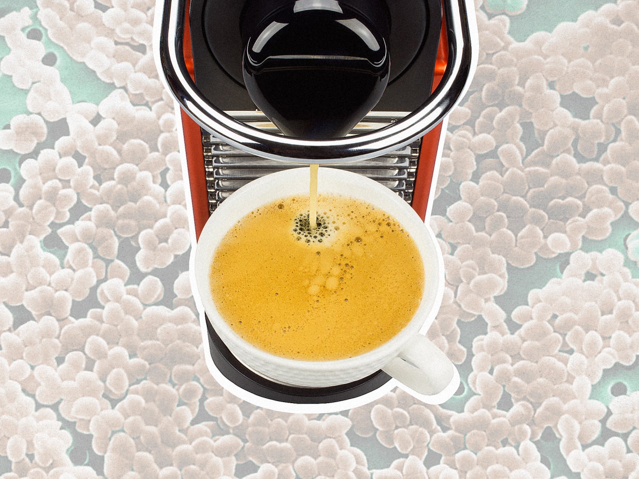 Your Coffee Maker Is A Bacterial Filth Hole The future of business