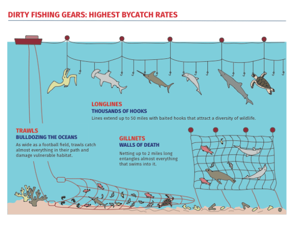 U.S. Fishermen Throw Away 2 Billion Pounds Of Fish A Ye | Fast Company